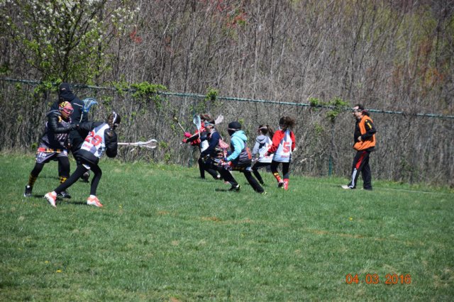 b35c979071c4b1db94659682c3598f8_large.jpg