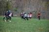 b35c979071c4b1db94659682c3598f8_large_small.jpg