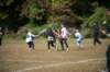 shp_0732_small.jpg