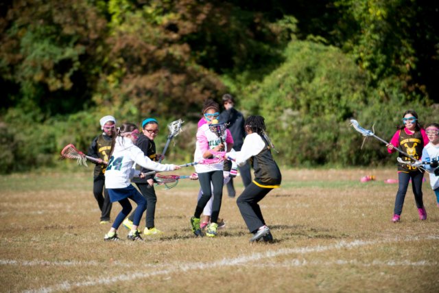 shp_0739.jpg