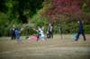 shp_0751_small.jpg