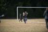 shp_0768_small.jpg