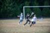 shp_0778_small.jpg