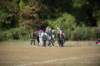 shp_0803_small.jpg