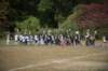 shp_0809_small.jpg
